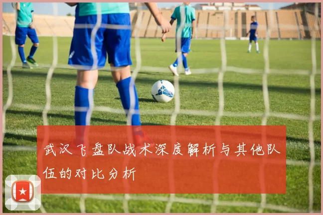 武汉飞盘队战术深度解析与其他队伍的对比分析
