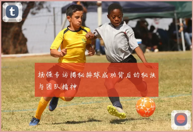杨强专访揭秘排球成功背后的秘诀与团队精神