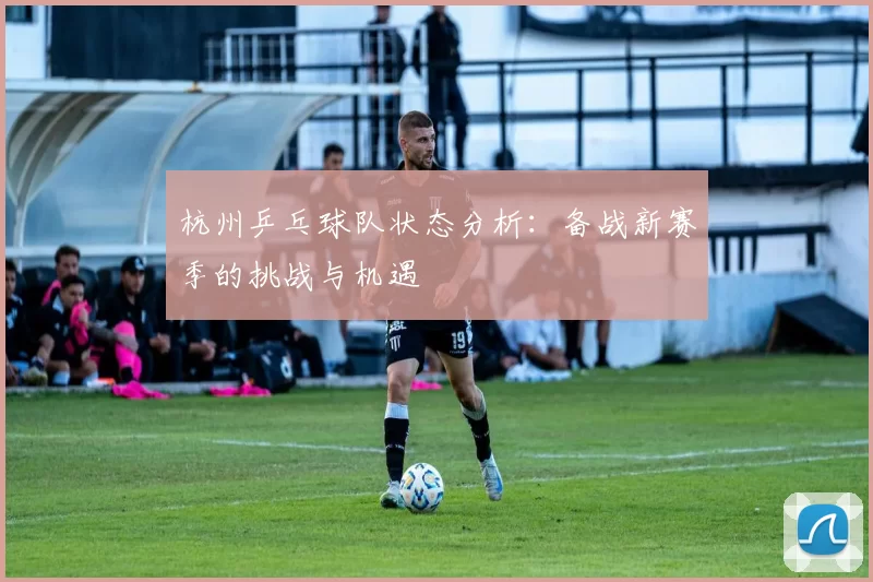 杭州乒乓球队状态分析：备战新赛季的挑战与机遇