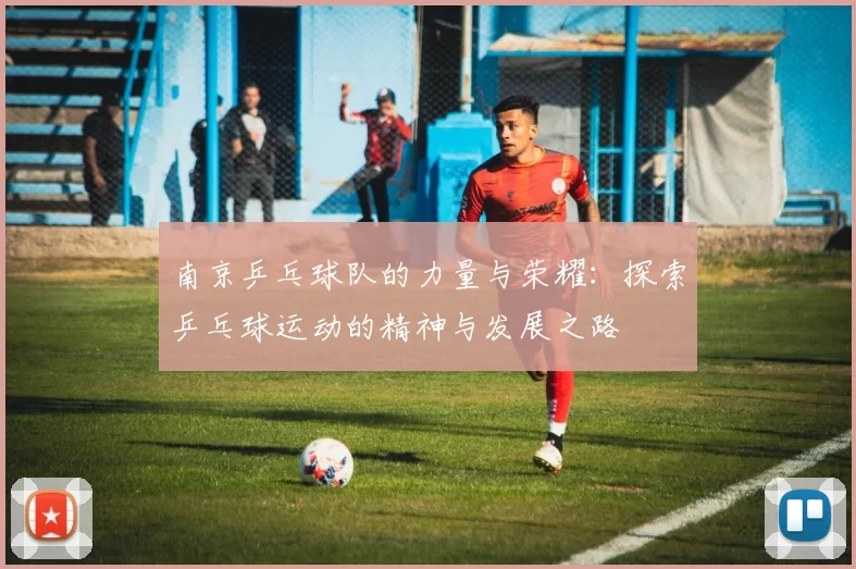 南京乒乓球队的力量与荣耀：探索乒乓球运动的精神与发展之路