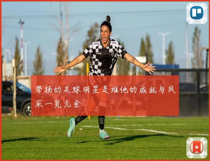 带杨的足球明星是谁他的成就与风采一览无余
