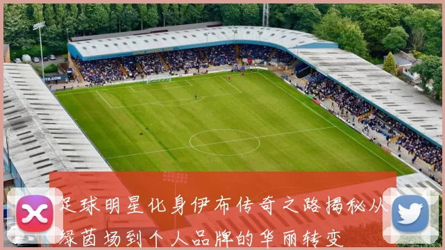 足球明星化身伊布传奇之路揭秘从绿茵场到个人品牌的华丽转变