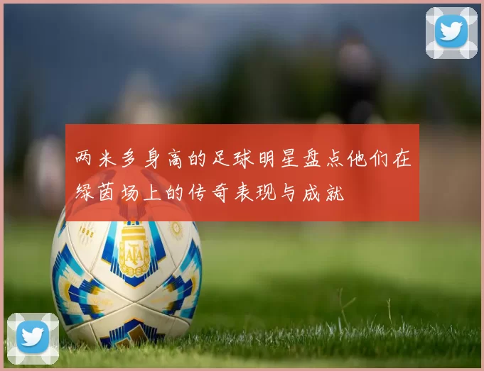 两米多身高的足球明星盘点他们在绿茵场上的传奇表现与成就