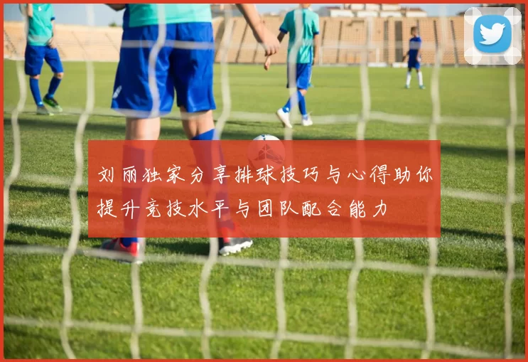 刘丽独家分享排球技巧与心得助你提升竞技水平与团队配合能力