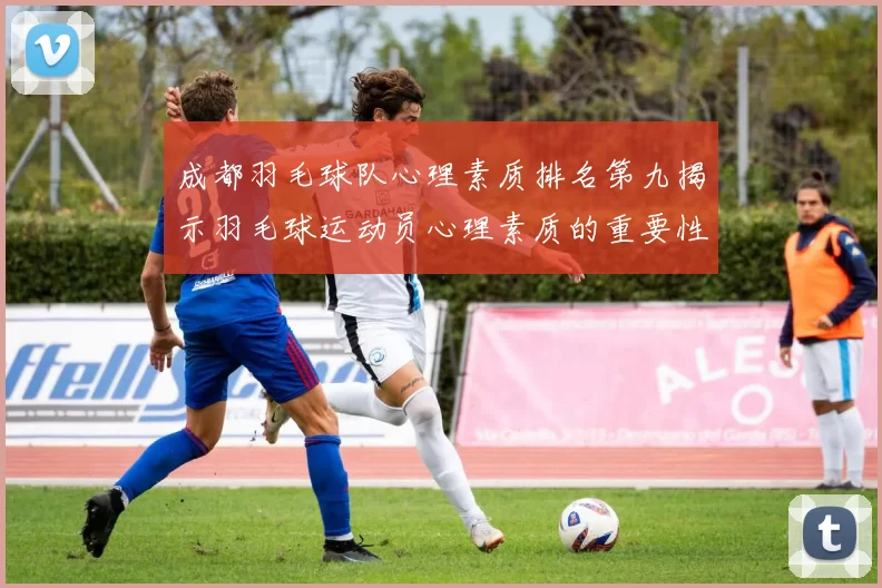 成都羽毛球队心理素质排名第九揭示羽毛球运动员心理素质的重要性与挑战