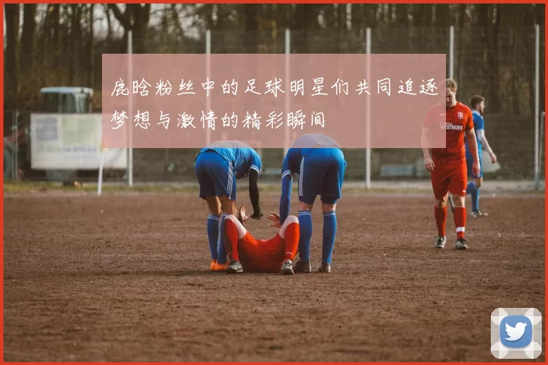 鹿晗粉丝中的足球明星们共同追逐梦想与激情的精彩瞬间