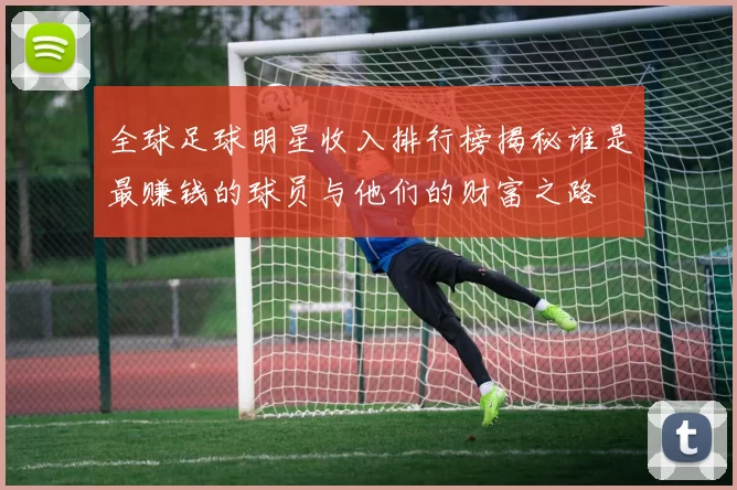 全球足球明星收入排行榜揭秘谁是最赚钱的球员与他们的财富之路