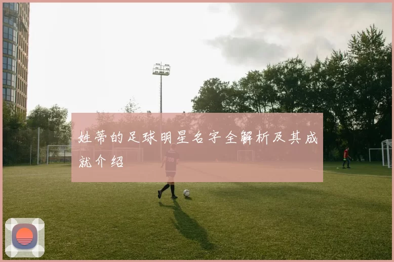 姓蒂的足球明星名字全解析及其成就介绍