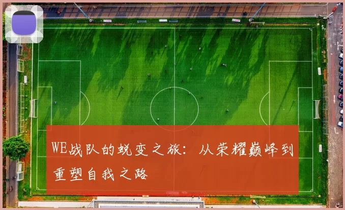 WE战队的蜕变之旅：从荣耀巅峰到重塑自我之路