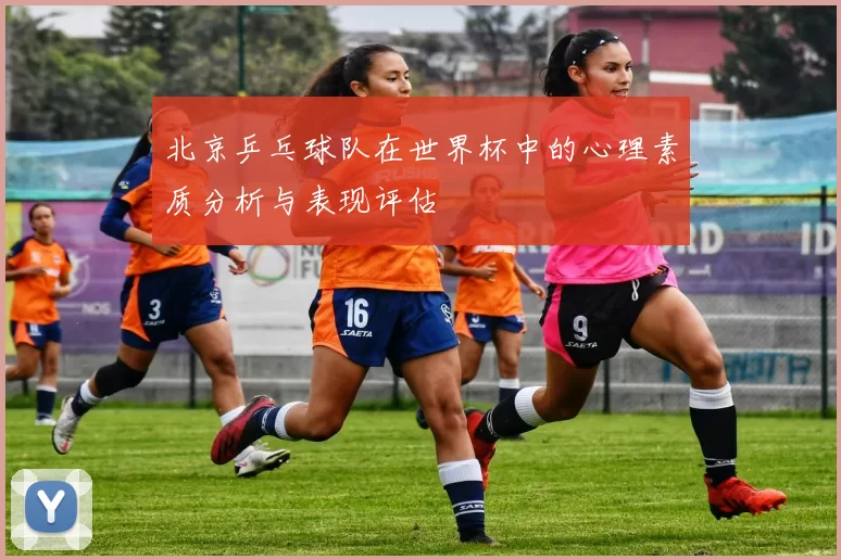 北京乒乓球队在世界杯中的心理素质分析与表现评估