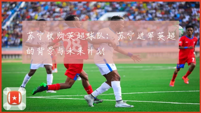 苏宁收购英超球队：苏宁进军英超的背景与未来计划