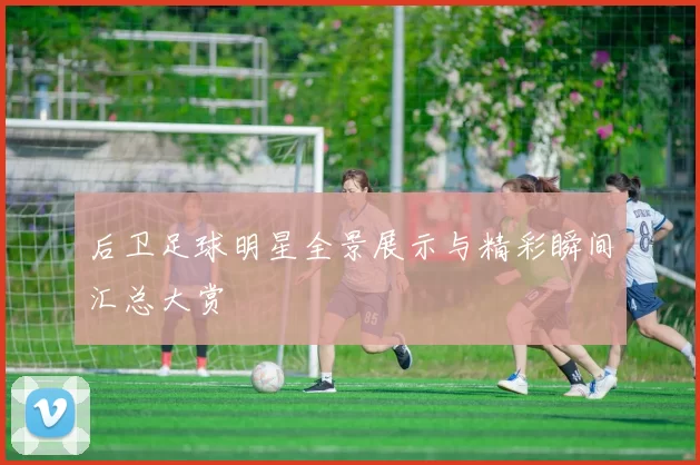 后卫足球明星全景展示与精彩瞬间汇总大赏