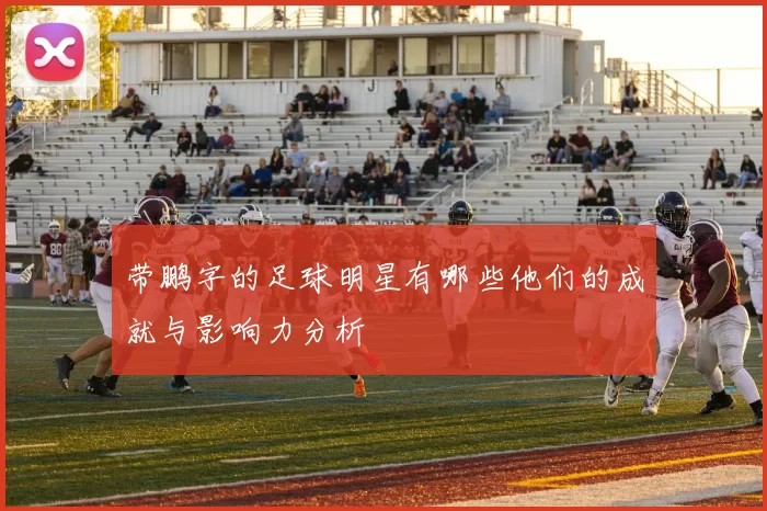 带鹏字的足球明星有哪些他们的成就与影响力分析