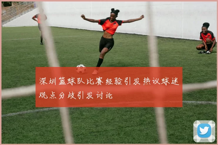 深圳篮球队比赛经验引发热议球迷观点分歧引发讨论