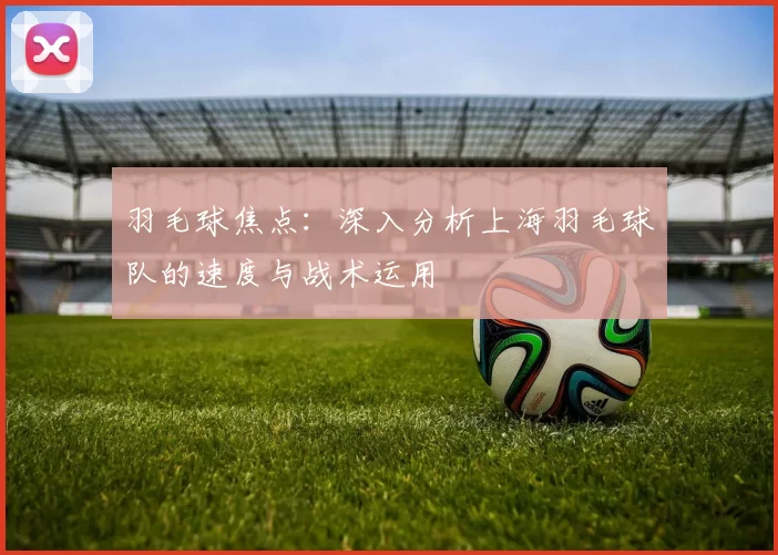 羽毛球焦点：深入分析上海羽毛球队的速度与战术运用