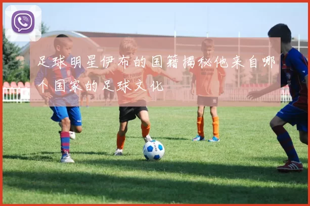 足球明星伊布的国籍揭秘他来自哪个国家的足球文化