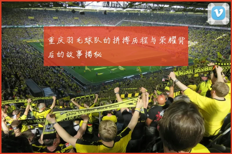 重庆羽毛球队的拼搏历程与荣耀背后的故事揭秘