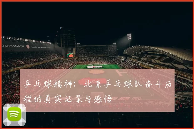 乒乓球精神：北京乒乓球队奋斗历程的真实记录与感悟