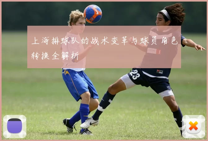 上海排球队的战术变革与球员角色转换全解析