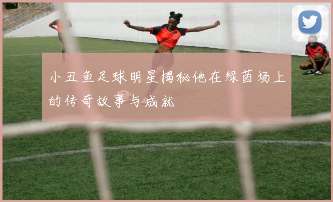 小丑鱼足球明星揭秘他在绿茵场上的传奇故事与成就