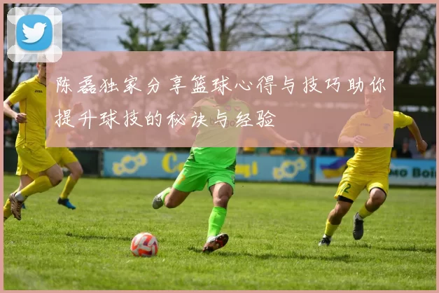 陈磊独家分享篮球心得与技巧助你提升球技的秘诀与经验