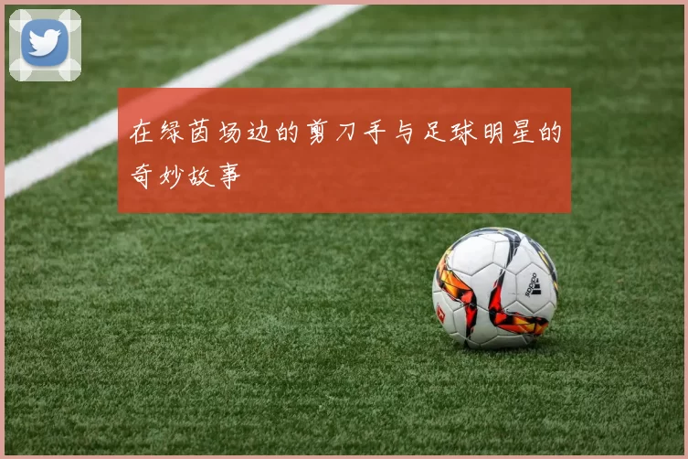 在绿茵场边的剪刀手与足球明星的奇妙故事